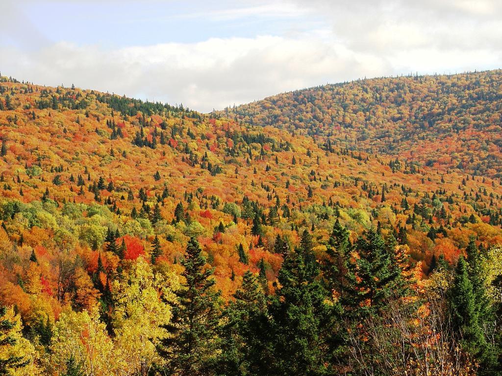 Gite Aventures Quebec Sainte Brigitte de Laval Zewnętrze zdjęcie